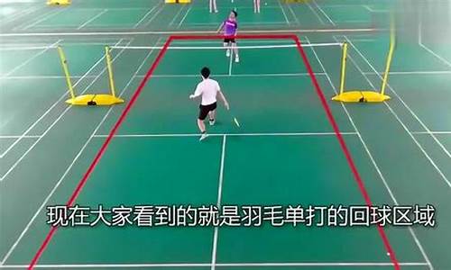 羽毛球单打比赛规则边界线_羽毛球单打比赛规则边界线图解